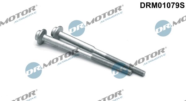 SURUB, SUPORT INJECTOR DR.MOTOR AUTOMOTIVE DRM01079S - Compatibil cu AUDI, SEAT, SKODA, VW