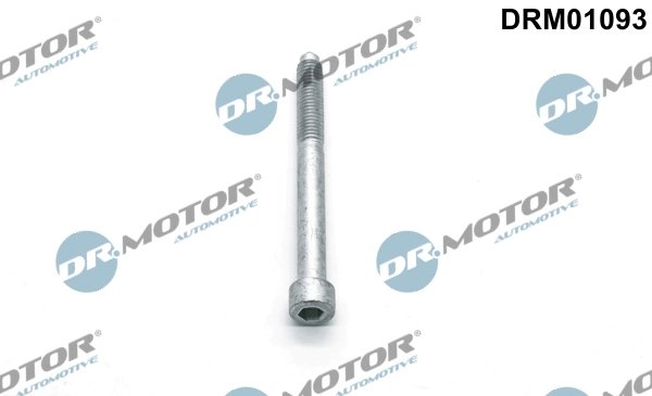 SURUB, SUPORT INJECTOR DR.MOTOR AUTOMOTIVE DRM01093 - Compatibil cu CITROEN, DS, FORD, FORD USA, PEUGEOT