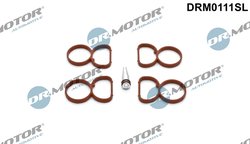 Set garnituri galerie admisie Dr.Motor Automotive DRM0111SL