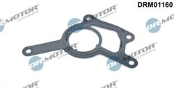 Garnitura, pompa vacuum Dr.Motor Automotive DRM01160