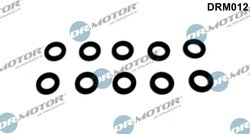 Simering, suport diuza Dr.Motor Automotive DRM012