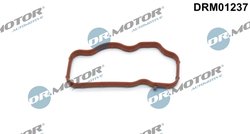 Garnitura galerie admisie Dr.Motor Automotive DRM01237