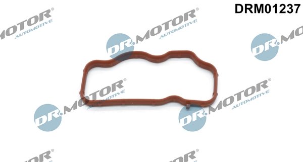 GARNITURA GALERIE ADMISIE DR.MOTOR AUTOMOTIVE DRM01237 - Compatibil cu AUDI, VW