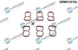 SET PENTRU REPARAT, MODUL TEAVA DE ASPIRATIE DR.MOTOR AUTOMOTIVE DRM01241SL - Compatibil cu BMW