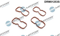Set garnituri galerie admisie Dr.Motor Automotive DRM01253S