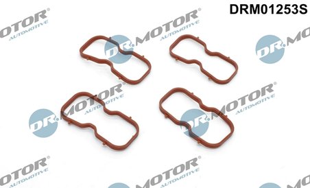 SET GARNITURI GALERIE ADMISIE DR.MOTOR AUTOMOTIVE DRM01253S - Compatibil cu NISSAN, OPEL, RENAULT