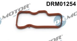GARNITURA GALERIE ADMISIE DR.MOTOR AUTOMOTIVE DRM01254 - Compatibil cu AUDI, VW