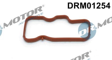GARNITURA GALERIE ADMISIE DR.MOTOR AUTOMOTIVE DRM01254 - Compatibil cu AUDI, VW