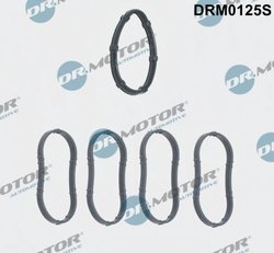 SET GARNITURI GALERIE ADMISIE DR.MOTOR AUTOMOTIVE DRM0125S - Compatibil cu DACIA, NISSAN, OPEL, RENAULT