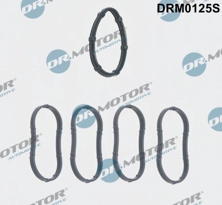 SET GARNITURI GALERIE ADMISIE DR.MOTOR AUTOMOTIVE DRM0125S - Compatibil cu DACIA, NISSAN, OPEL, RENAULT