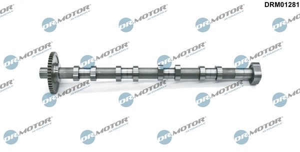 Ax cu came Dr.Motor Automotive DRM01281