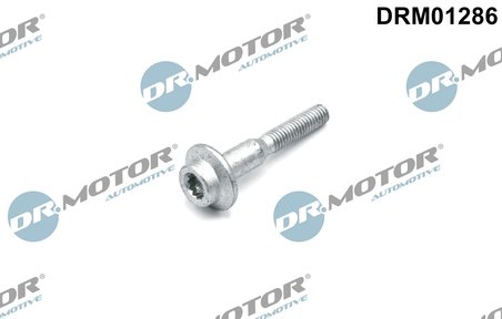 SURUB, SUPORT INJECTOR DR.MOTOR AUTOMOTIVE DRM01286 - Compatibil cu AUDI, SEAT, SKODA, VW