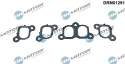 Set garnituri galerie admisie Dr.Motor Automotive DRM01291