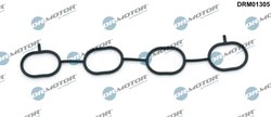 Garnitura galerie admisie Dr.Motor Automotive DRM01305