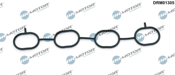 GARNITURA GALERIE ADMISIE DR.MOTOR AUTOMOTIVE DRM01305 - Compatibil cu NISSAN