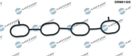 GARNITURA GALERIE ADMISIE DR.MOTOR AUTOMOTIVE DRM01305 - Compatibil cu NISSAN