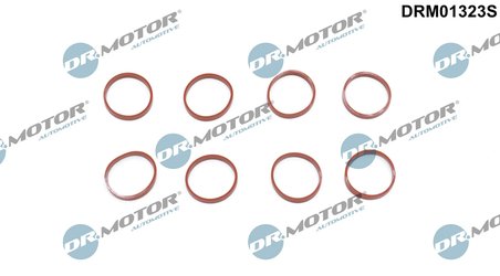 Set garnituri galerie admisie Dr.Motor Automotive DRM01323S