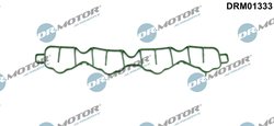 GARNITURA GALERIE ADMISIE DR.MOTOR AUTOMOTIVE DRM01333 - Compatibil cu OPEL, VAUXHALL