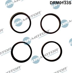 SET GARNITURI GALERIE ADMISIE DR.MOTOR AUTOMOTIVE DRM0133S - Compatibil cu SEAT, SKODA, VW
