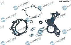 SET REPARATIE, POMPA VACUUM (SISTE FRANA) DR.MOTOR AUTOMOTIVE DRM01347 - Compatibil cu AUDI, FORD, SEAT, SKODA, VW
