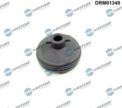Surub de golire la baie ulei Dr.Motor Automotive DRM01349