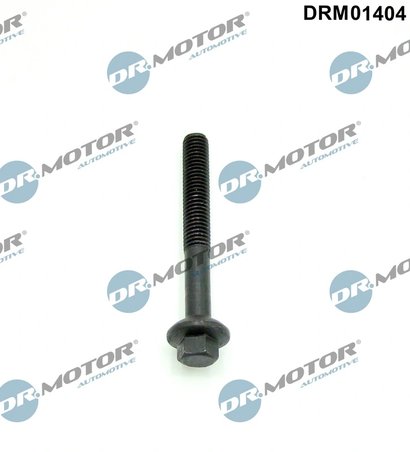 SURUB, SUPORT INJECTOR DR.MOTOR AUTOMOTIVE DRM01404 - Compatibil cu DACIA, RENAULT