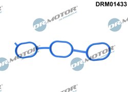 Garnitura galerie admisie Dr.Motor Automotive DRM01433