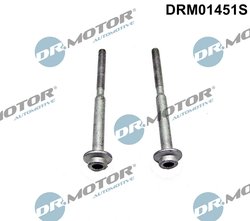 SURUB, SUPORT INJECTOR DR.MOTOR AUTOMOTIVE DRM01451S - Compatibil cu AUDI, SEAT, SKODA, VW