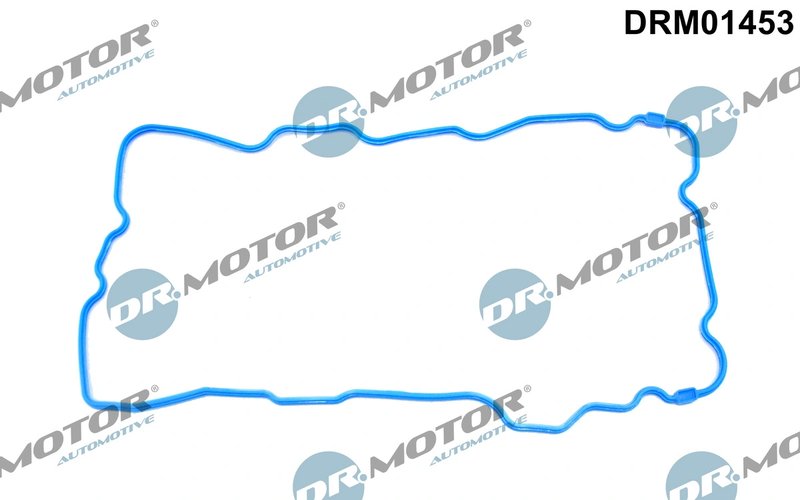 Garnitura baie ulei Dr.Motor Automotive DRM01453
