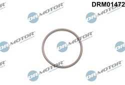 GARNITURA, POMPA COMBUSTIBIL DR.MOTOR AUTOMOTIVE DRM01472 - Compatibil cu FORD