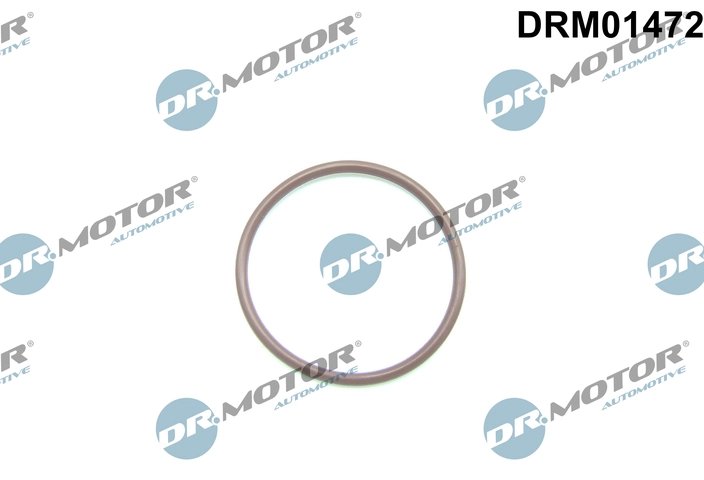 GARNITURA, POMPA COMBUSTIBIL DR.MOTOR AUTOMOTIVE DRM01472 - Compatibil cu FORD