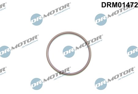 GARNITURA, POMPA COMBUSTIBIL DR.MOTOR AUTOMOTIVE DRM01472 - Compatibil cu FORD