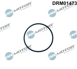GARNITURA, POMPA COMBUSTIBIL DR.MOTOR AUTOMOTIVE DRM01473 - Compatibil cu CITROEN, FORD, FORD USA, PEUGEOT
