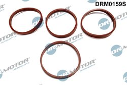 SET GARNITURI GALERIE ADMISIE DR.MOTOR AUTOMOTIVE DRM0159S - Compatibil cu CITROEN, PEUGEOT
