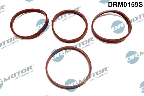 SET GARNITURI GALERIE ADMISIE DR.MOTOR AUTOMOTIVE DRM0159S - Compatibil cu CITROEN, PEUGEOT