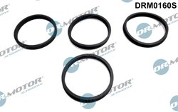 SET GARNITURI GALERIE ADMISIE DR.MOTOR AUTOMOTIVE DRM0160S - Compatibil cu AUDI, SEAT, SKODA, VW