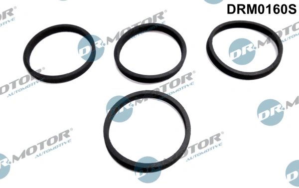 Set garnituri galerie admisie Dr.Motor Automotive DRM0160S