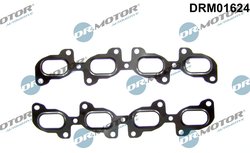 GARNITURA GALERIE EVACUARE DR.MOTOR AUTOMOTIVE DRM01624 - Compatibil cu CHEVROLET, OPEL, VAUXHALL