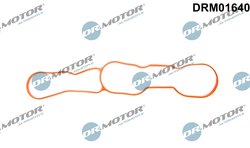 Garnitura galerie admisie Dr.Motor Automotive DRM01640