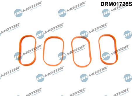 Set garnituri galerie admisie Dr.Motor Automotive DRM01728S