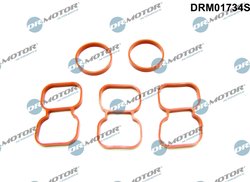 Garnitura chiuloasa Dr.Motor Automotive DRM01734S