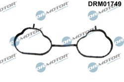 GARNITURA GALERIE ADMISIE DR.MOTOR AUTOMOTIVE DRM01749 - Compatibil cu SUBARU