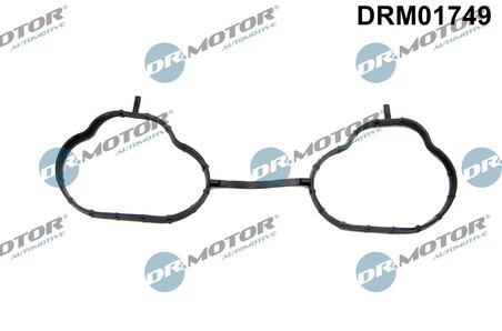 GARNITURA GALERIE ADMISIE DR.MOTOR AUTOMOTIVE DRM01749 - Compatibil cu SUBARU