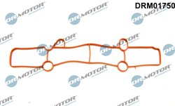 GARNITURA GALERIE ADMISIE DR.MOTOR AUTOMOTIVE DRM01750 - Compatibil cu FORD