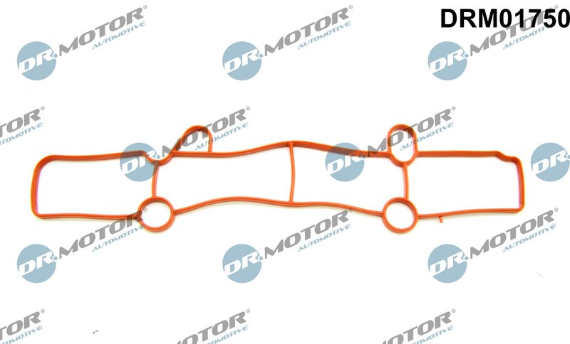 GARNITURA GALERIE ADMISIE DR.MOTOR AUTOMOTIVE DRM01750 - Compatibil cu FORD