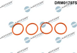 SET GARNITURI GALERIE ADMISIE DR.MOTOR AUTOMOTIVE DRM01757S - Compatibil cu CITROEN, FIAT, PEUGEOT, ZASTAVA