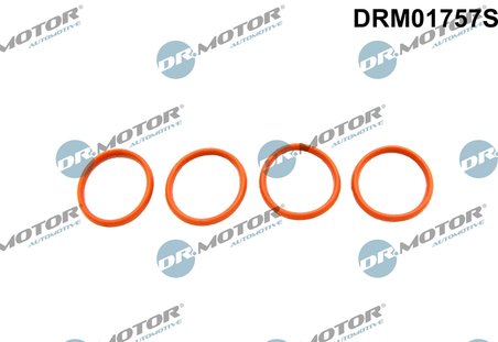 Set garnituri galerie admisie Dr.Motor Automotive DRM01757S