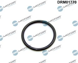 GARNITURA GALERIE ADMISIE DR.MOTOR AUTOMOTIVE DRM01770 - Compatibil cu CITROEN, FIAT, FORD, LAND ROVER, PEUGEOT
