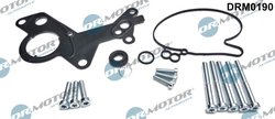 SET REPARATIE, POMPA VACUUM (SISTE FRANA) DR.MOTOR AUTOMOTIVE DRM0190 - Compatibil cu AUDI, FORD, SEAT, SKODA, VW