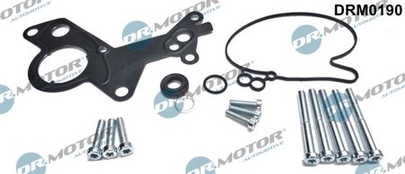 Set reparatie, pompa vacuum (Siste frana) Dr.Motor Automotiv